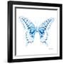 Miss Butterfly Xuthus Sq - X Ray White Edition-Philippe Hugonnard-Framed Photographic Print