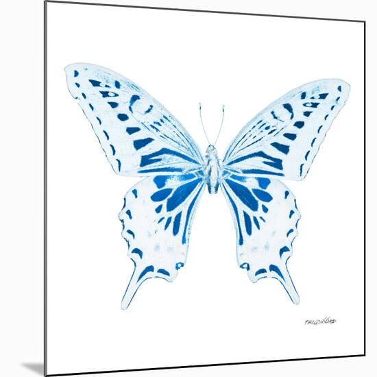 Miss Butterfly Xuthus Sq - X Ray White Edition-Philippe Hugonnard-Mounted Premium Photographic Print