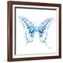 Miss Butterfly Xuthus Sq - X Ray White Edition-Philippe Hugonnard-Framed Premium Photographic Print