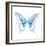 Miss Butterfly Xuthus Sq - X Ray White Edition-Philippe Hugonnard-Framed Photographic Print