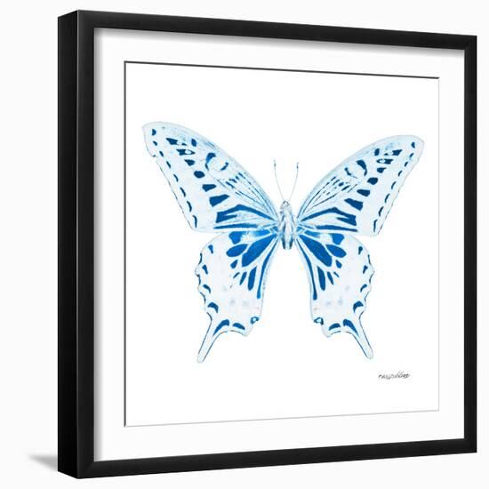 Miss Butterfly Xuthus Sq - X Ray White Edition-Philippe Hugonnard-Framed Photographic Print