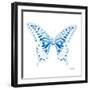 Miss Butterfly Xuthus Sq - X Ray White Edition-Philippe Hugonnard-Framed Photographic Print