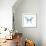 Miss Butterfly Xuthus Sq - X Ray White Edition-Philippe Hugonnard-Framed Photographic Print displayed on a wall