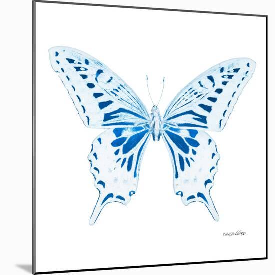 Miss Butterfly Xuthus Sq - X Ray White Edition-Philippe Hugonnard-Mounted Photographic Print