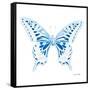 Miss Butterfly Xuthus Sq - X Ray White Edition-Philippe Hugonnard-Framed Stretched Canvas