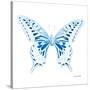 Miss Butterfly Xuthus Sq - X Ray White Edition-Philippe Hugonnard-Stretched Canvas