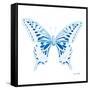 Miss Butterfly Xuthus Sq - X Ray White Edition-Philippe Hugonnard-Framed Stretched Canvas