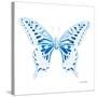 Miss Butterfly Xuthus Sq - X Ray White Edition-Philippe Hugonnard-Stretched Canvas