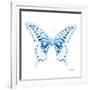 Miss Butterfly Xuthus Sq - X Ray White Edition-Philippe Hugonnard-Framed Photographic Print