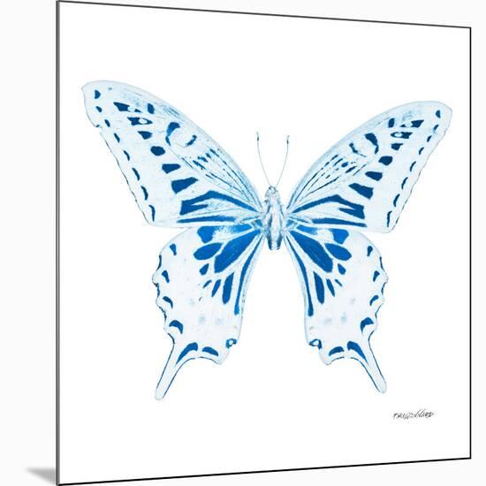 Miss Butterfly Xuthus Sq - X Ray White Edition-Philippe Hugonnard-Mounted Photographic Print