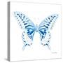 Miss Butterfly Xuthus Sq - X Ray White Edition-Philippe Hugonnard-Stretched Canvas