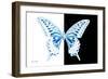 Miss Butterfly Xuthus - X Ray B&W Edition-Philippe Hugonnard-Framed Photographic Print