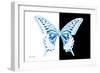 Miss Butterfly Xuthus - X Ray B&W Edition-Philippe Hugonnard-Framed Photographic Print