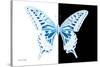 Miss Butterfly Xuthus - X Ray B&W Edition-Philippe Hugonnard-Stretched Canvas