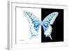 Miss Butterfly Xuthus - X Ray B&W Edition-Philippe Hugonnard-Framed Photographic Print