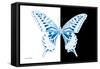 Miss Butterfly Xuthus - X Ray B&W Edition-Philippe Hugonnard-Framed Stretched Canvas