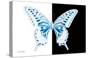 Miss Butterfly Xuthus - X Ray B&W Edition-Philippe Hugonnard-Stretched Canvas