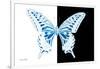 Miss Butterfly Xuthus - X Ray B&W Edition-Philippe Hugonnard-Framed Photographic Print