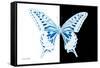 Miss Butterfly Xuthus - X Ray B&W Edition-Philippe Hugonnard-Framed Stretched Canvas