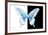 Miss Butterfly Xuthus - X Ray B&W Edition-Philippe Hugonnard-Framed Photographic Print