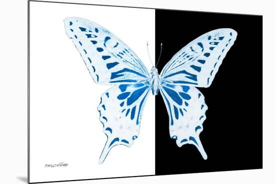 Miss Butterfly Xuthus - X Ray B&W Edition-Philippe Hugonnard-Mounted Photographic Print