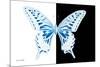 Miss Butterfly Xuthus - X Ray B&W Edition-Philippe Hugonnard-Mounted Photographic Print