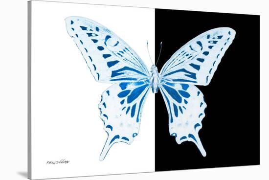 Miss Butterfly Xuthus - X Ray B&W Edition-Philippe Hugonnard-Stretched Canvas