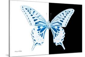 Miss Butterfly Xuthus - X Ray B&W Edition-Philippe Hugonnard-Stretched Canvas