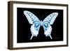 Miss Butterfly Xuthus - X Ray Black Edition-Philippe Hugonnard-Framed Photographic Print