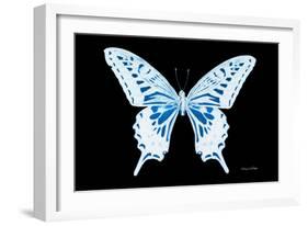 Miss Butterfly Xuthus - X Ray Black Edition-Philippe Hugonnard-Framed Photographic Print