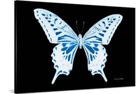 Miss Butterfly Xuthus - X Ray Black Edition-Philippe Hugonnard-Stretched Canvas