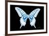 Miss Butterfly Xuthus - X Ray Black Edition-Philippe Hugonnard-Framed Photographic Print