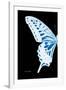 Miss Butterfly Xuthus - X Ray Left Black Edition-Philippe Hugonnard-Framed Photographic Print