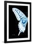 Miss Butterfly Xuthus - X Ray Left Black Edition-Philippe Hugonnard-Framed Photographic Print