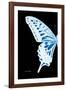 Miss Butterfly Xuthus - X Ray Left Black Edition-Philippe Hugonnard-Framed Photographic Print