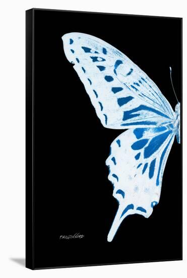 Miss Butterfly Xuthus - X Ray Left Black Edition-Philippe Hugonnard-Framed Stretched Canvas