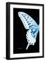 Miss Butterfly Xuthus - X Ray Left Black Edition-Philippe Hugonnard-Framed Photographic Print