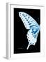 Miss Butterfly Xuthus - X Ray Left Black Edition-Philippe Hugonnard-Framed Photographic Print