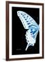 Miss Butterfly Xuthus - X Ray Left Black Edition-Philippe Hugonnard-Framed Photographic Print