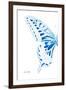 Miss Butterfly Xuthus - X Ray Left White Edition-Philippe Hugonnard-Framed Premium Photographic Print