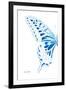 Miss Butterfly Xuthus - X Ray Left White Edition-Philippe Hugonnard-Framed Premium Photographic Print
