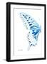 Miss Butterfly Xuthus - X Ray Left White Edition-Philippe Hugonnard-Framed Photographic Print