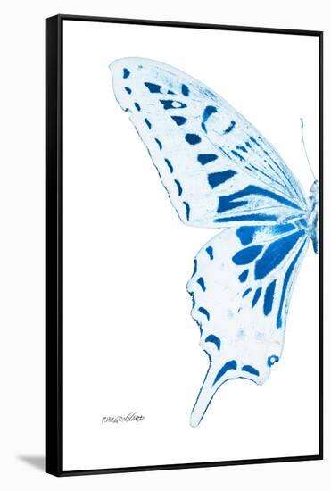 Miss Butterfly Xuthus - X Ray Left White Edition-Philippe Hugonnard-Framed Stretched Canvas