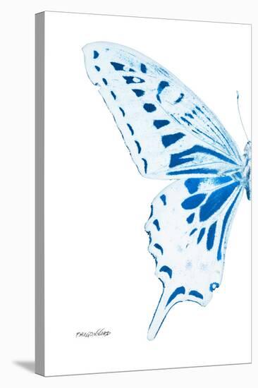 Miss Butterfly Xuthus - X Ray Left White Edition-Philippe Hugonnard-Stretched Canvas