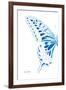 Miss Butterfly Xuthus - X Ray Left White Edition-Philippe Hugonnard-Framed Photographic Print