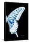 Miss Butterfly Xuthus - X Ray Right Black Edition-Philippe Hugonnard-Framed Stretched Canvas