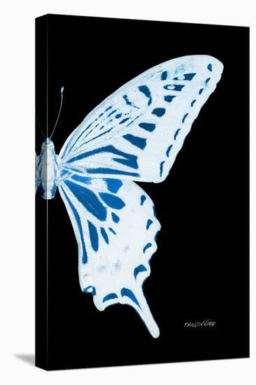 Miss Butterfly Xuthus - X Ray Right Black Edition-Philippe Hugonnard-Stretched Canvas