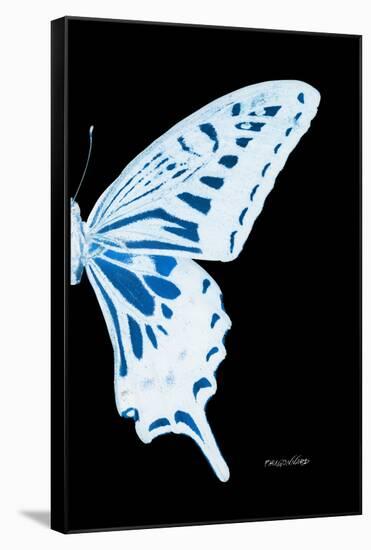 Miss Butterfly Xuthus - X Ray Right Black Edition-Philippe Hugonnard-Framed Stretched Canvas