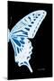 Miss Butterfly Xuthus - X Ray Right Black Edition-Philippe Hugonnard-Mounted Photographic Print