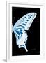 Miss Butterfly Xuthus - X Ray Right Black Edition-Philippe Hugonnard-Framed Photographic Print